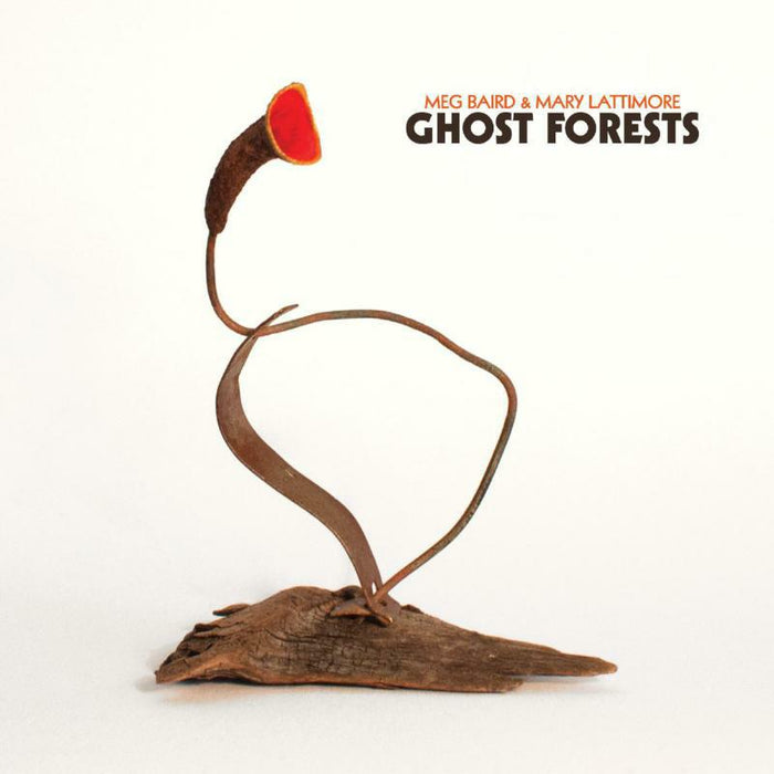 Meg Baird & Mary Lattimore: Ghost Forests