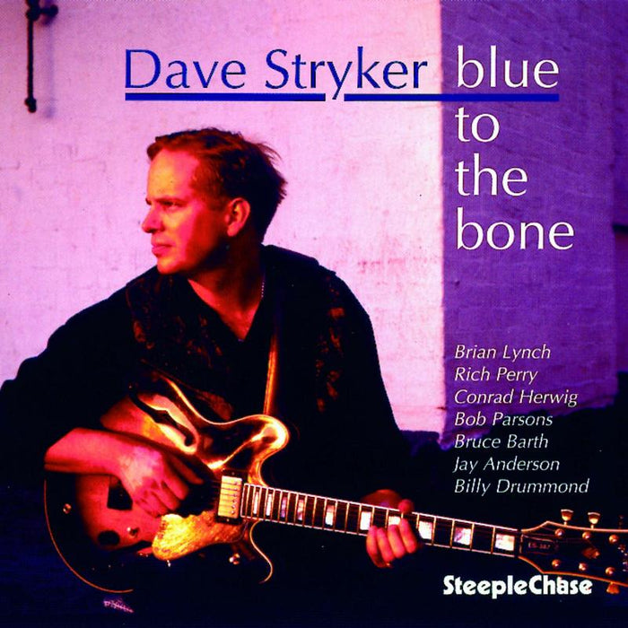 Dave Stryker: Blue to the Bone