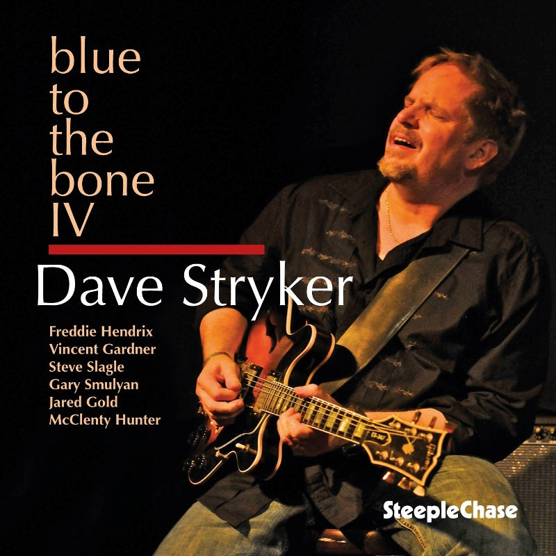 Dave Stryker: Blue to the Bone IV