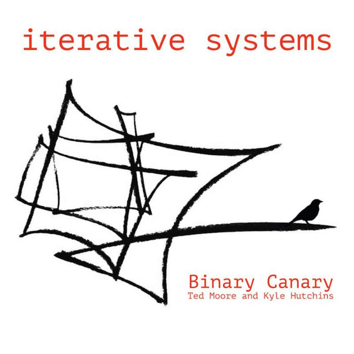 Binary Canary: Iterative Systems
