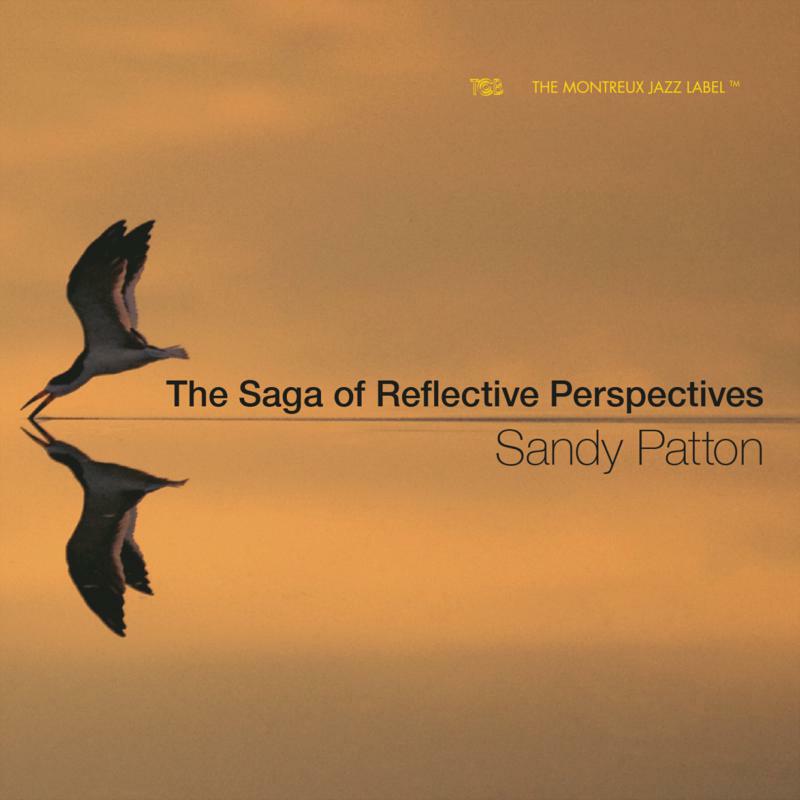 Sandy Patton: The Saga of Reflective Perspectives