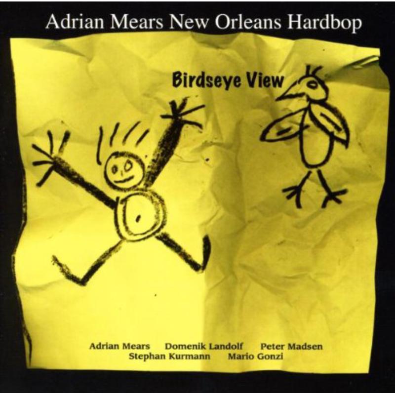 Andrew Mears: Birdseye View