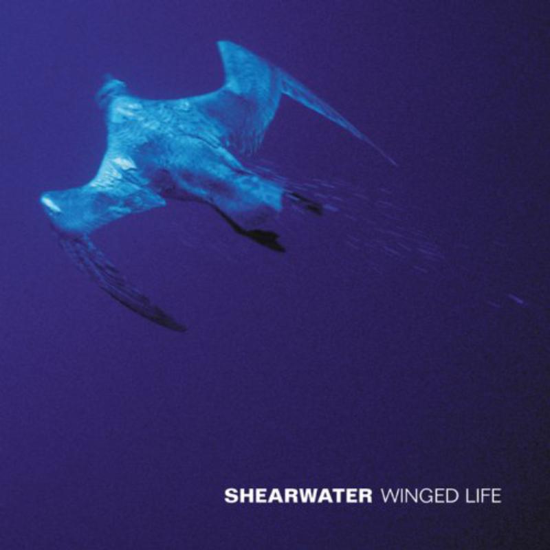 Shearwater: Winged Life