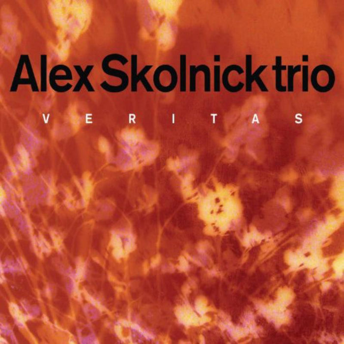Alex Skolnick Trio: Veritas