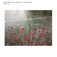 Norbert Rodenkirchen/Robbie Lee/James Ilgenfritz: Opalescence