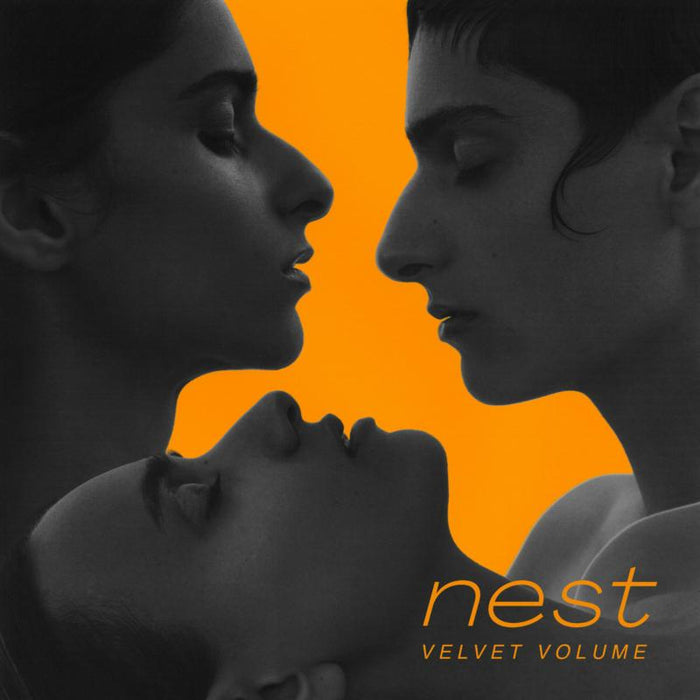 Velvet Volume: Nest Vinyl