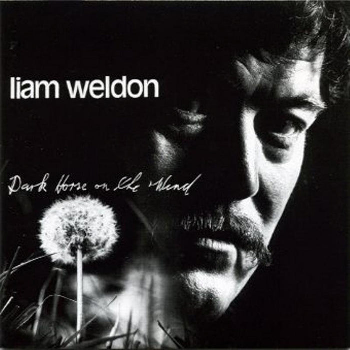 Liam Weldon: Dark Horse On The Wind