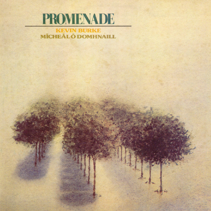 Kevin Burke & Micheal O'Domhnaill: Promenade