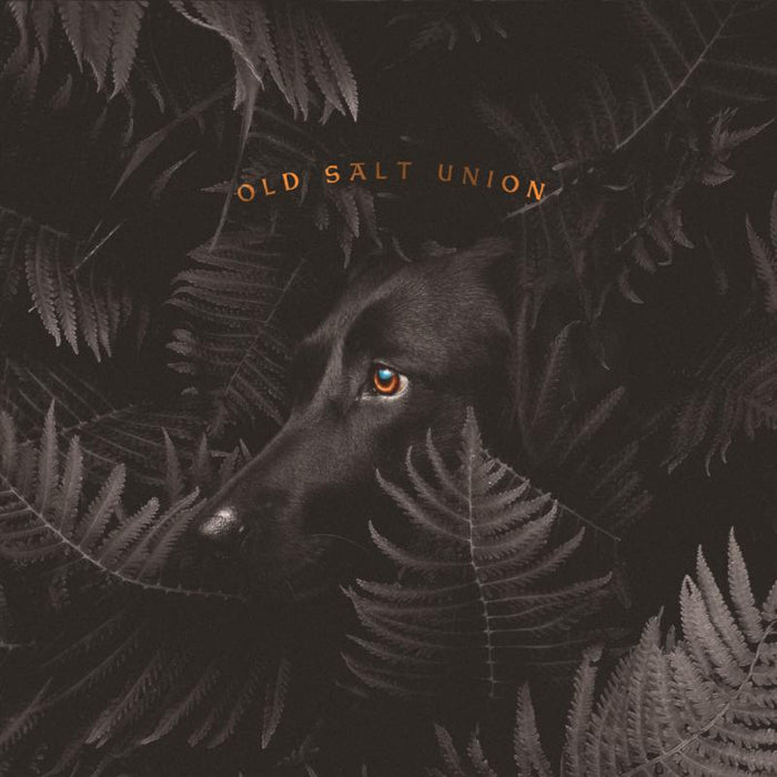 Old Salt Union: Where The Dogs Don't Bite