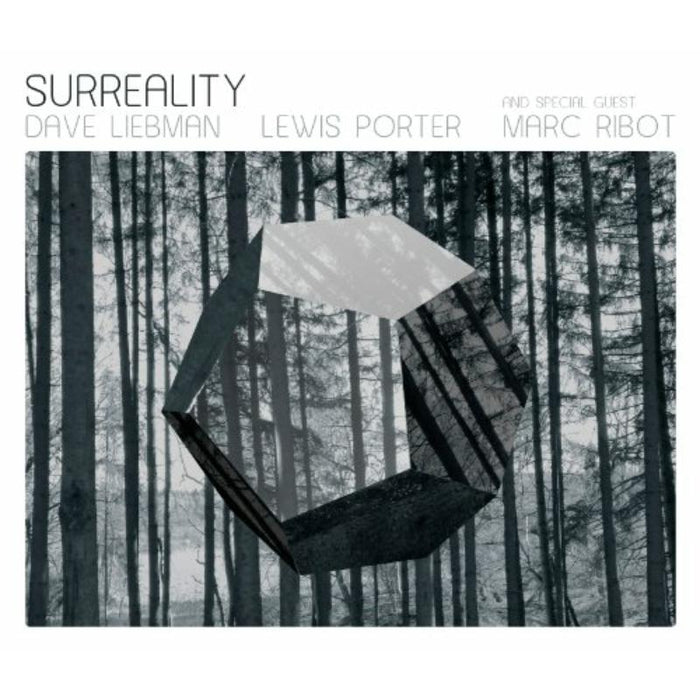 Dave Liebman & Lewis Porter: Surreality