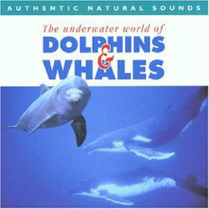Natural Sounds: Dolphins and Whales