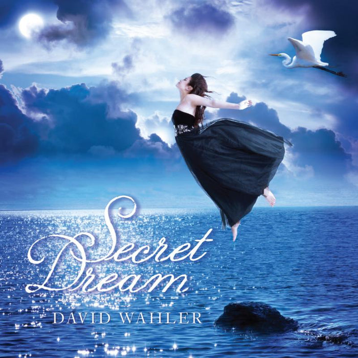 David Wahler: Secret Dream