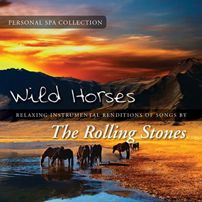 Judson Mancebo: Wild Horses