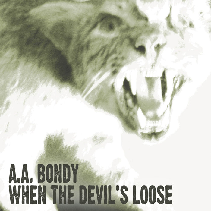 A.A. BONDY: When the Devil's Loose