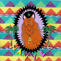 Wavves: King Of The Beach LP