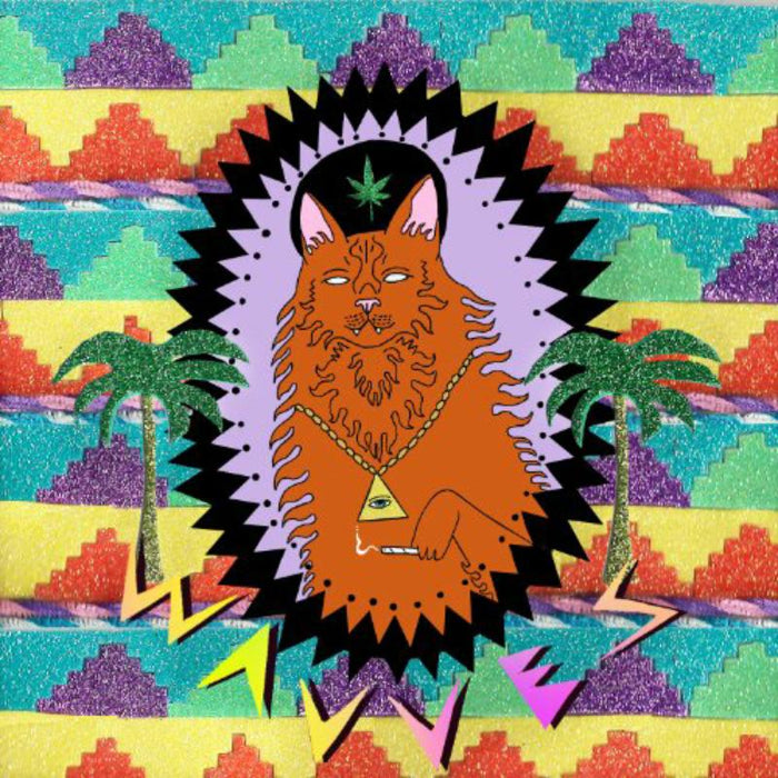 Wavves: King Of The Beach LP