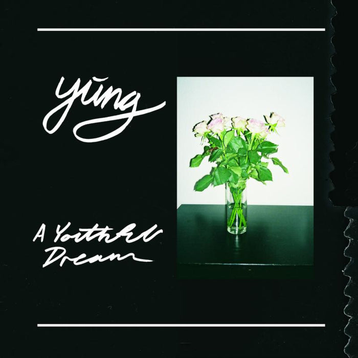 YUNG: A Youthful Dream