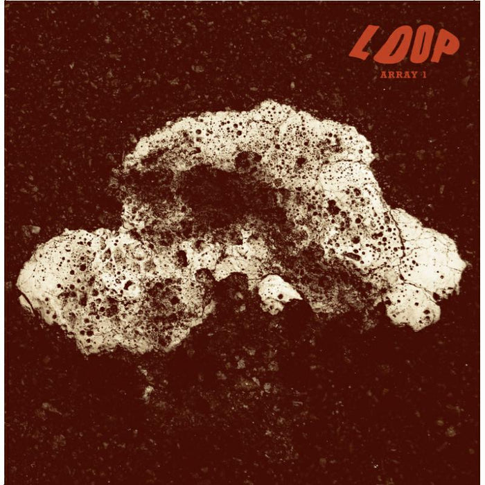 Loop: Array 1