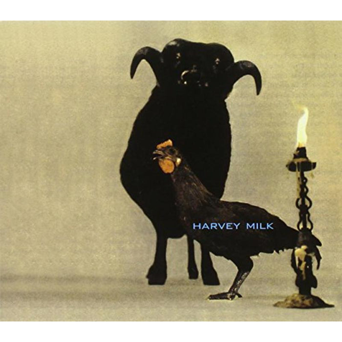 Harvey Milk: My Love Is Higher Than Your Assessment Of My White Love