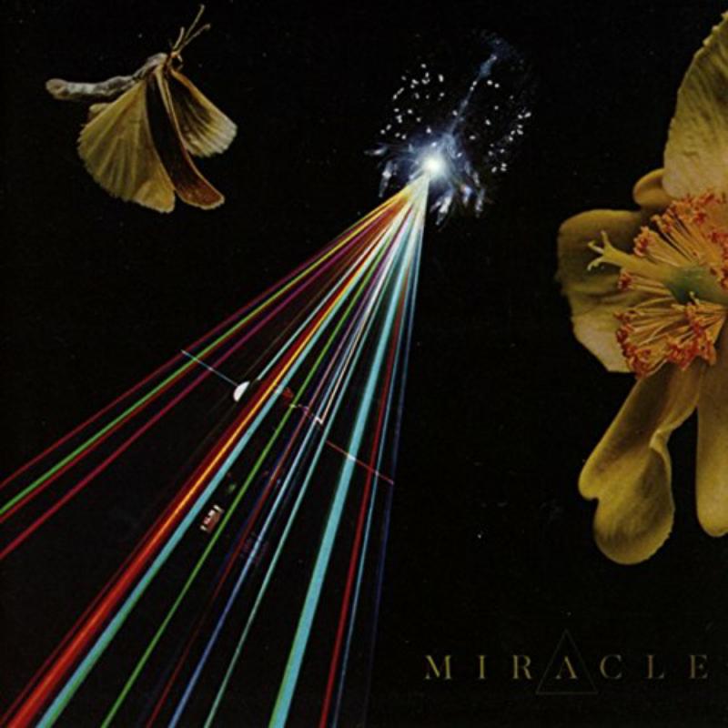 Miracle: The Strife Of Love In A Dream