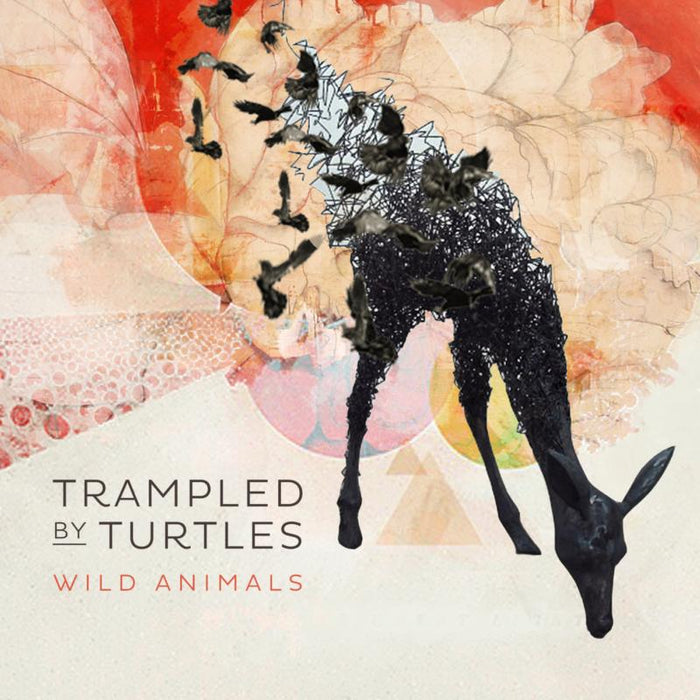 Trampled by Turtles: Wild Animals