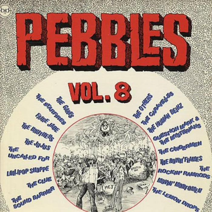 Various Artists: Pebbles Vol. 8: Original Artyfacts From The First Punk Era