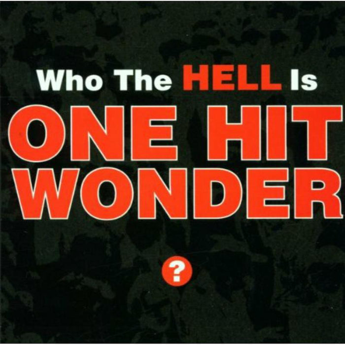One Hit Wonder: Who The Hell Is One Hit Wonder?