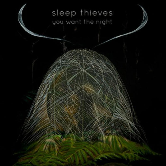 Sleep Thieves: You Want The Night