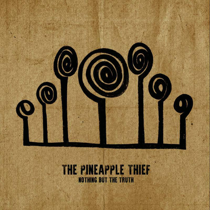 The Pineapple Thief: Nothing But The Truth (2LP)