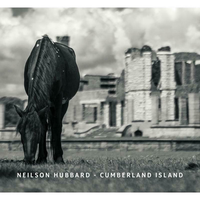 Neilson Hubbard: Cumberland Island