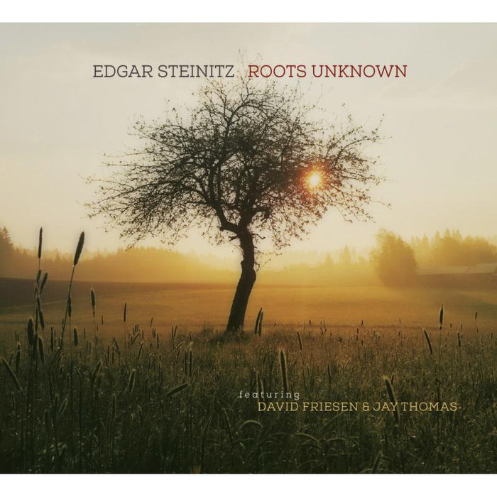 Edgar Steinitz: Roots Unknown