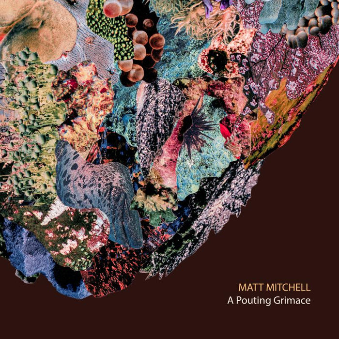 Matt Mitchell: A Pouting Grimace