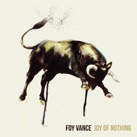 Foy Vance: Joy Of Nothing