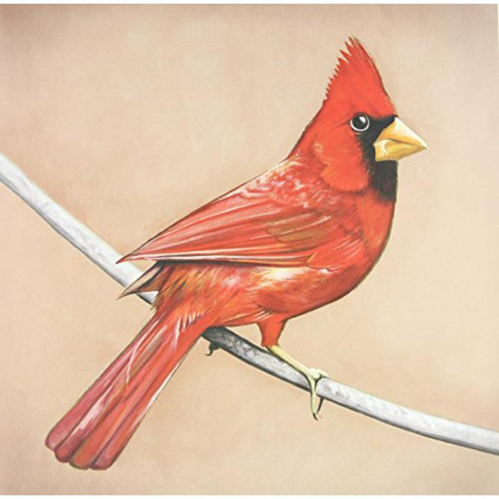 Alexisonfire: Old Crows/Young Cardinals