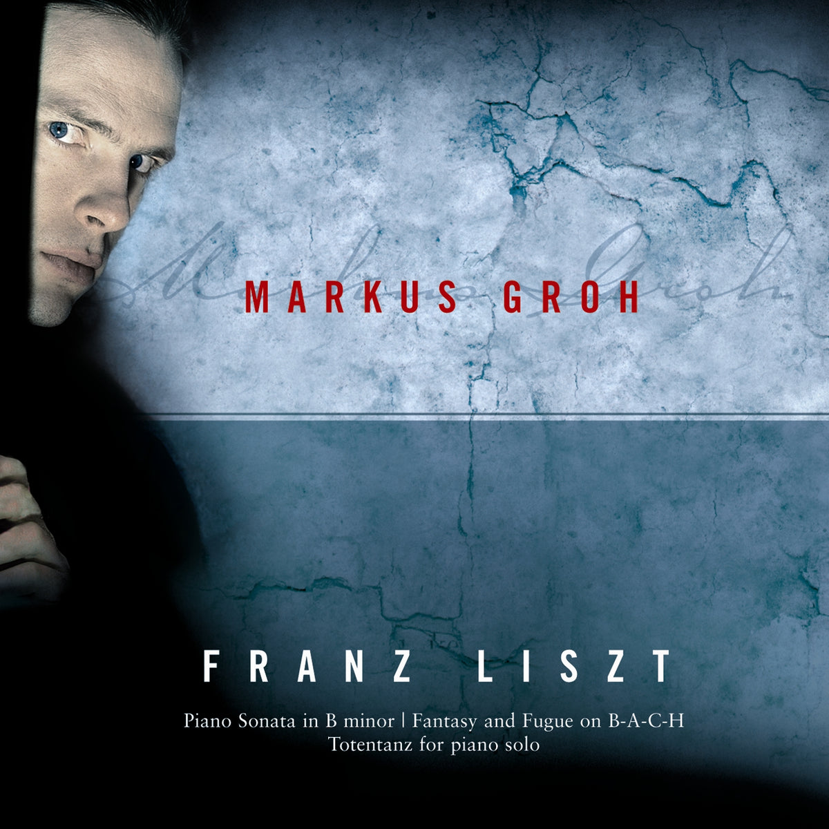 Markus Groh: Franz Liszt: Works For Piano
