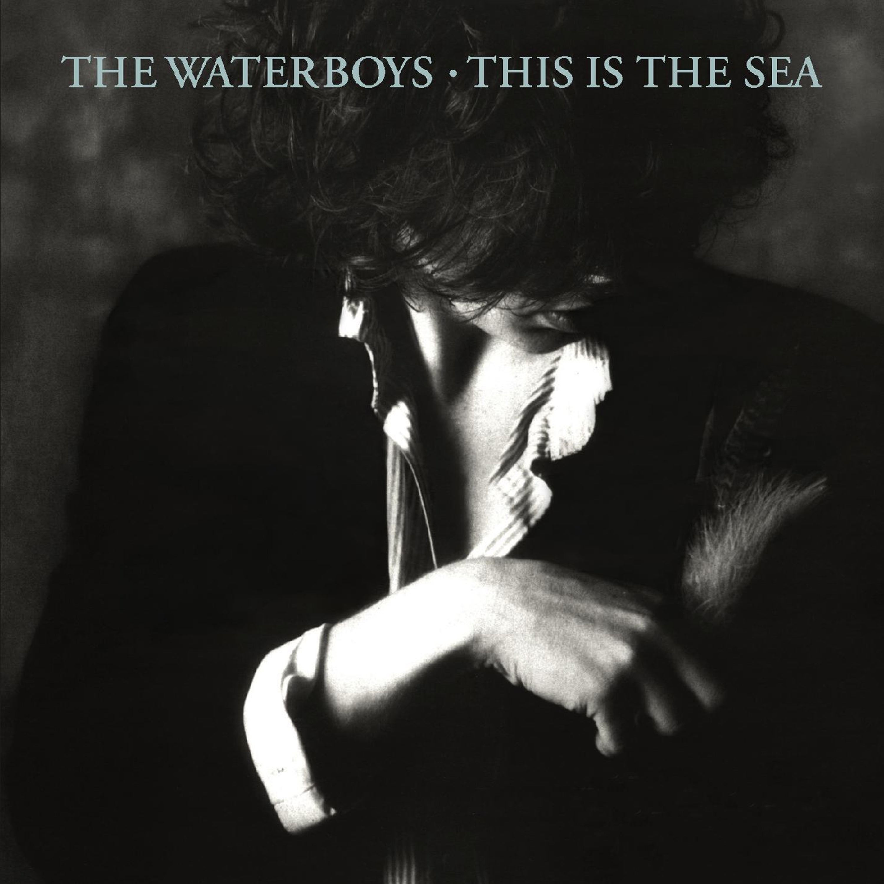 The Waterboys: This Is the Sea – Proper Music