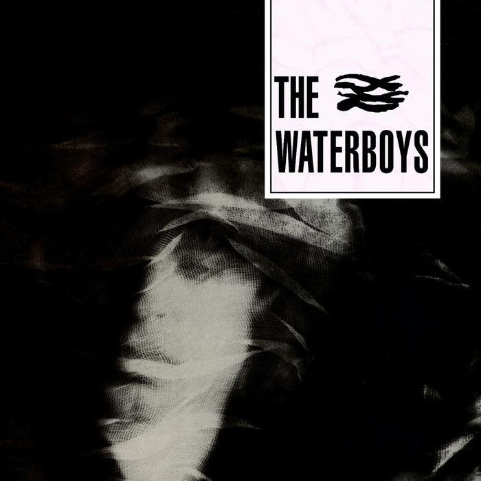 The Waterboys: The Waterboys