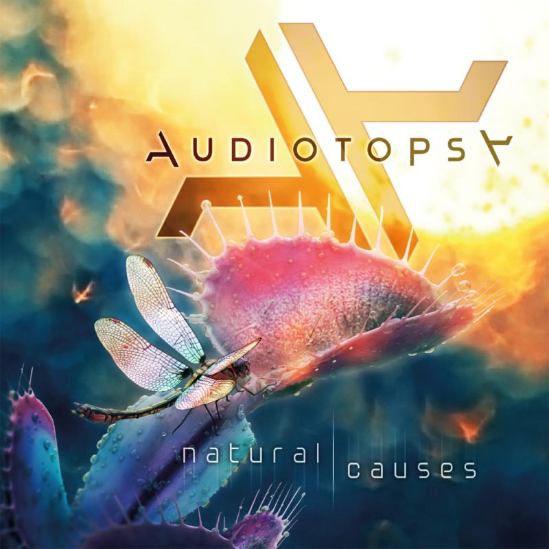 Audiotopsy: Natural Causes