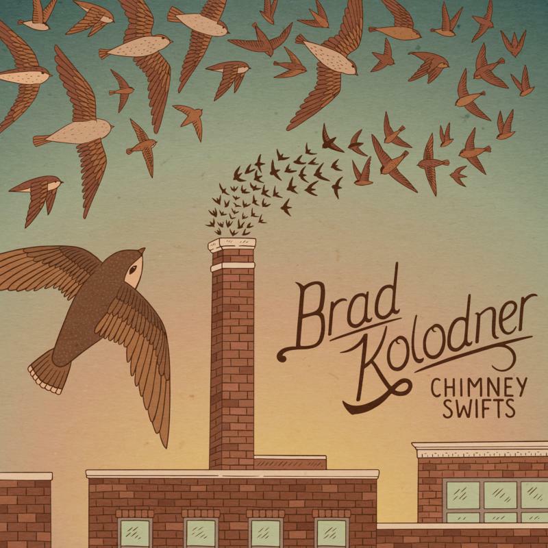 Brad Kolodner: Chimney Swifts