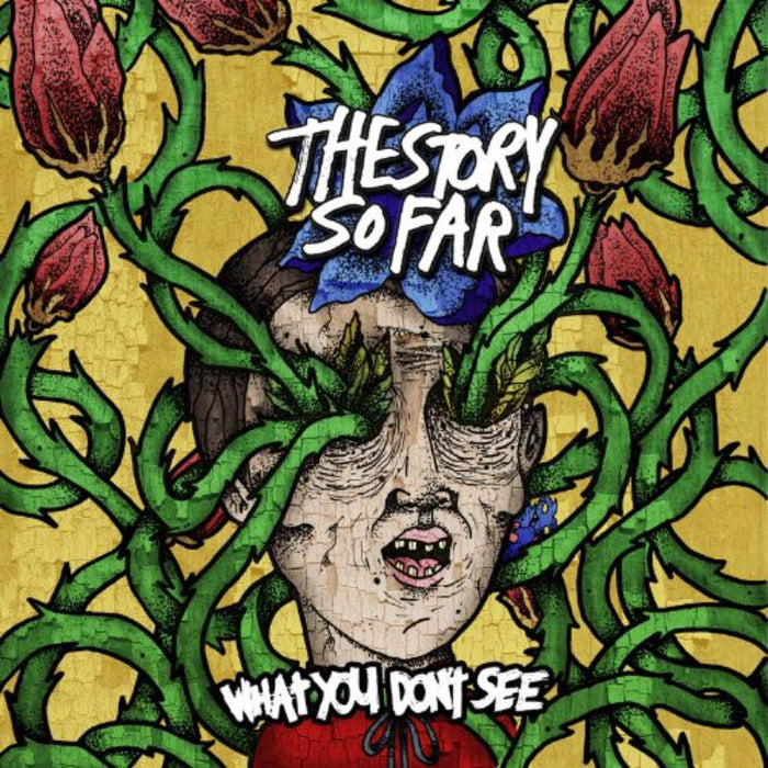The Story So Far: What You Don't See