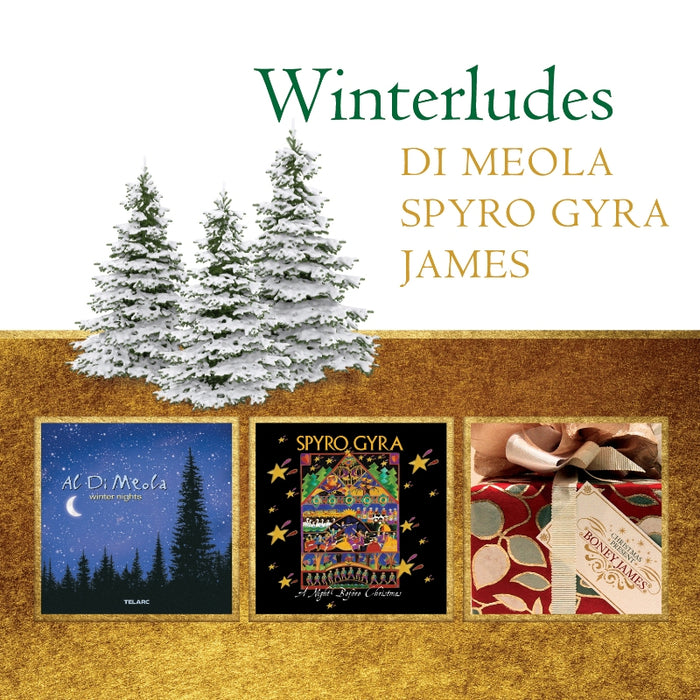 Al Di Meola, Boney James & Spyro Gyra: Winterludes