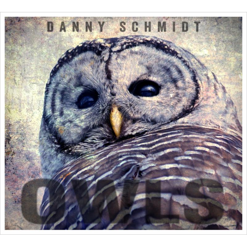 Danny Schmidt: Owls