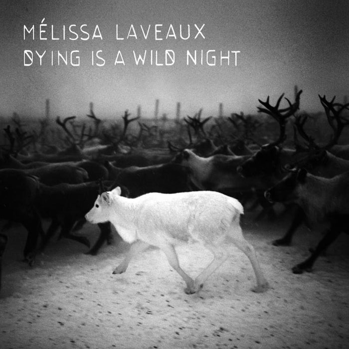 Melissa Laveaux: Dying Is A Wild Night