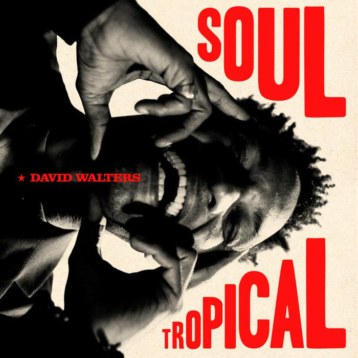 David Walters: Soul Tropical