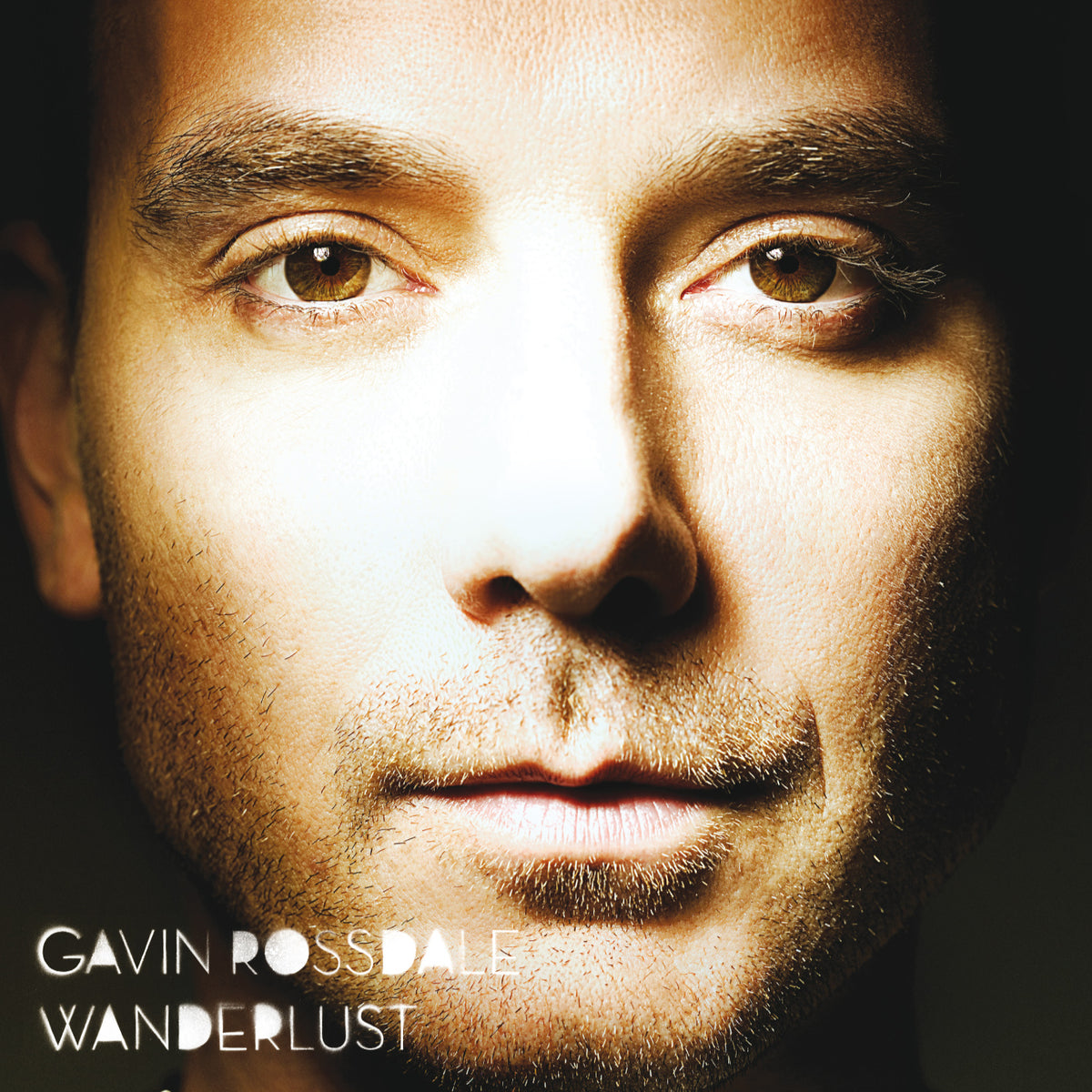 Gavin Rossdale: Gavin Rossdale - Wanderlust