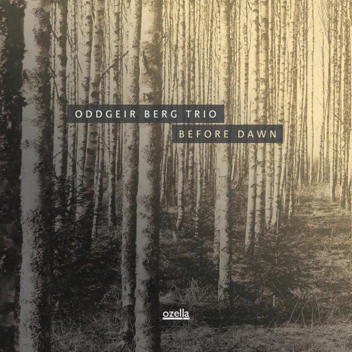 Oddgeir Berg Trio: Before Dawn