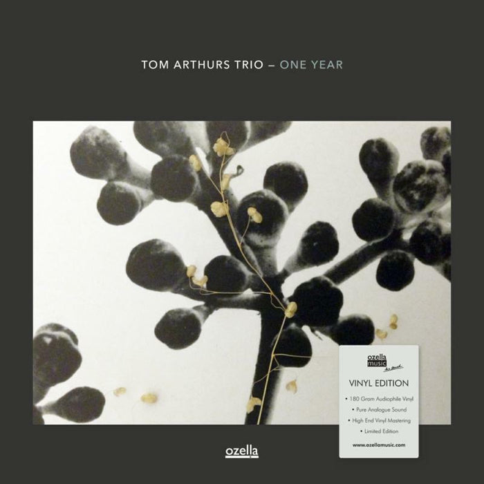 Tom Arthurs Trio: One Year