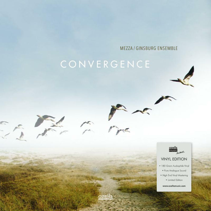 Mezza / Ginsburg Ensemble: Convergence
