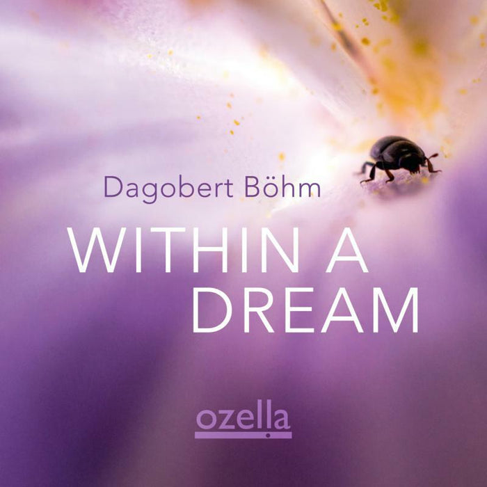 Dagobert Bohm: Within A Dream (LP)