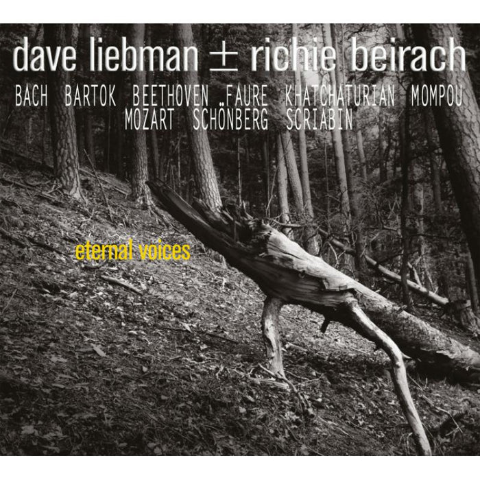 Dave Liebman & Richie Beirach: Eternal Voices